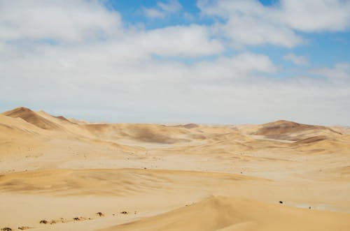 Sand Hills on a Desert