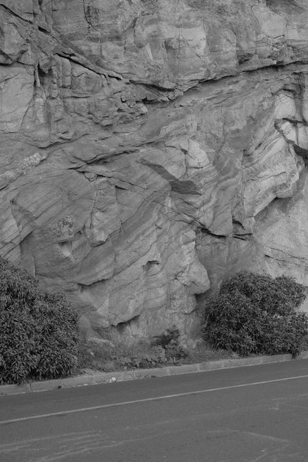 A grayscale image of a rocky wall and roadside bushes, highlighting natural textures.