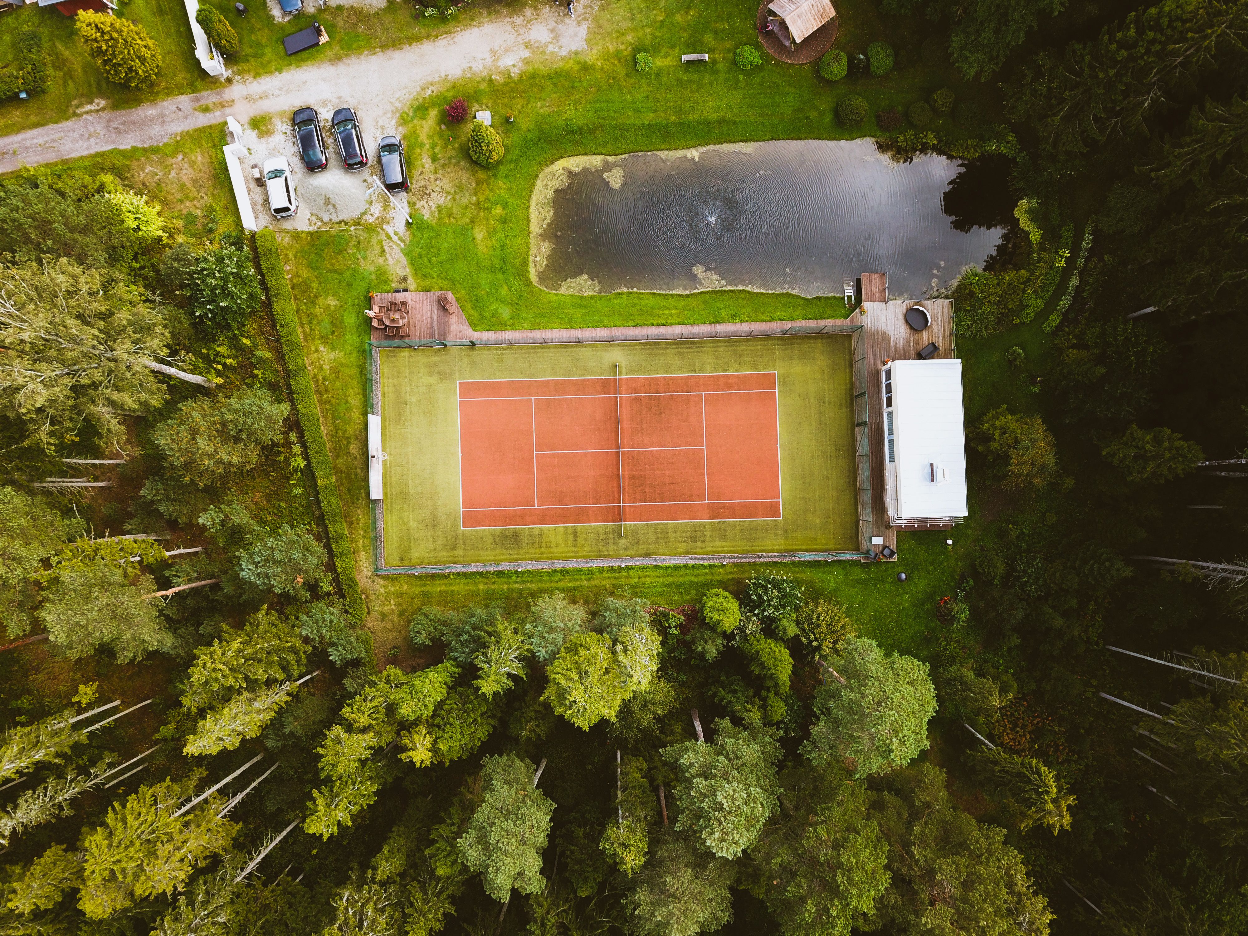 pickleball trends ultimate frisbee community — Photo by Alari Tammsalu on Pexels