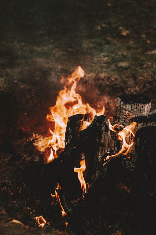 From above of burning cut wood with rough surface in glowing flame on meadow in evening