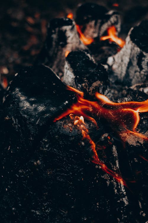 Black firewood burning in fire at night