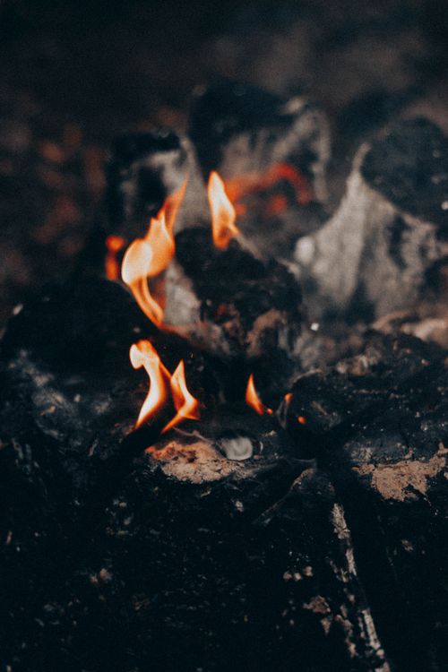 Free Closeup soft focus of blazing flame of bonfire with black burnt wood and ash in forest Stock Photo