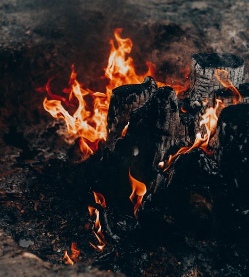 High angle of bright orange flame and black burnt tree logs with smoke in forest