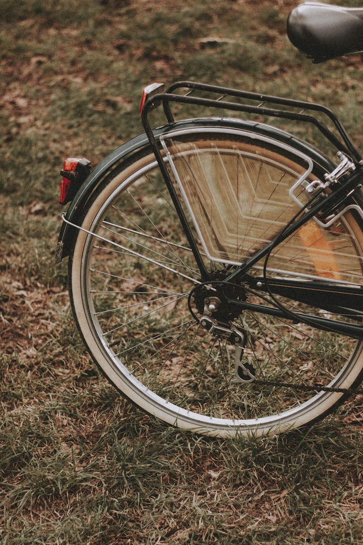 Bike Parked On Dry Grassy Lawn