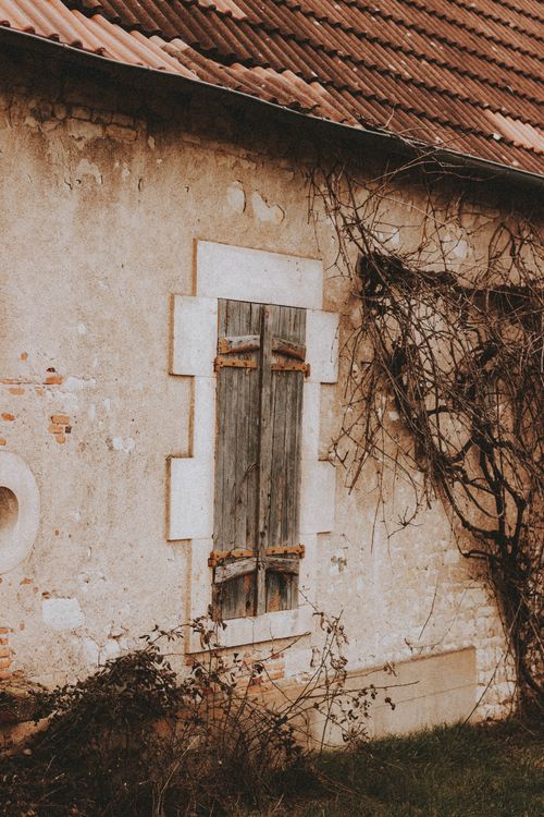 Free Old building facade with wooden shutters, overgrown vines, and rustic charm. Stock Photo