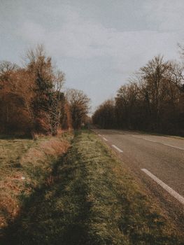 Serene rural road lined with autumn trees, creating a moody fall atmosphere.