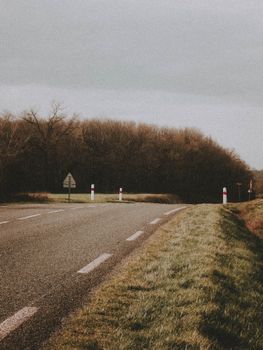 A quiet countryside road with trees under a cloudy sky, ideal for nature and travel themes.