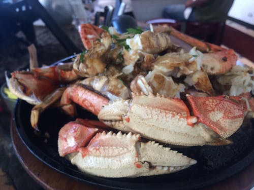 Free stock photo of crab, fish, food