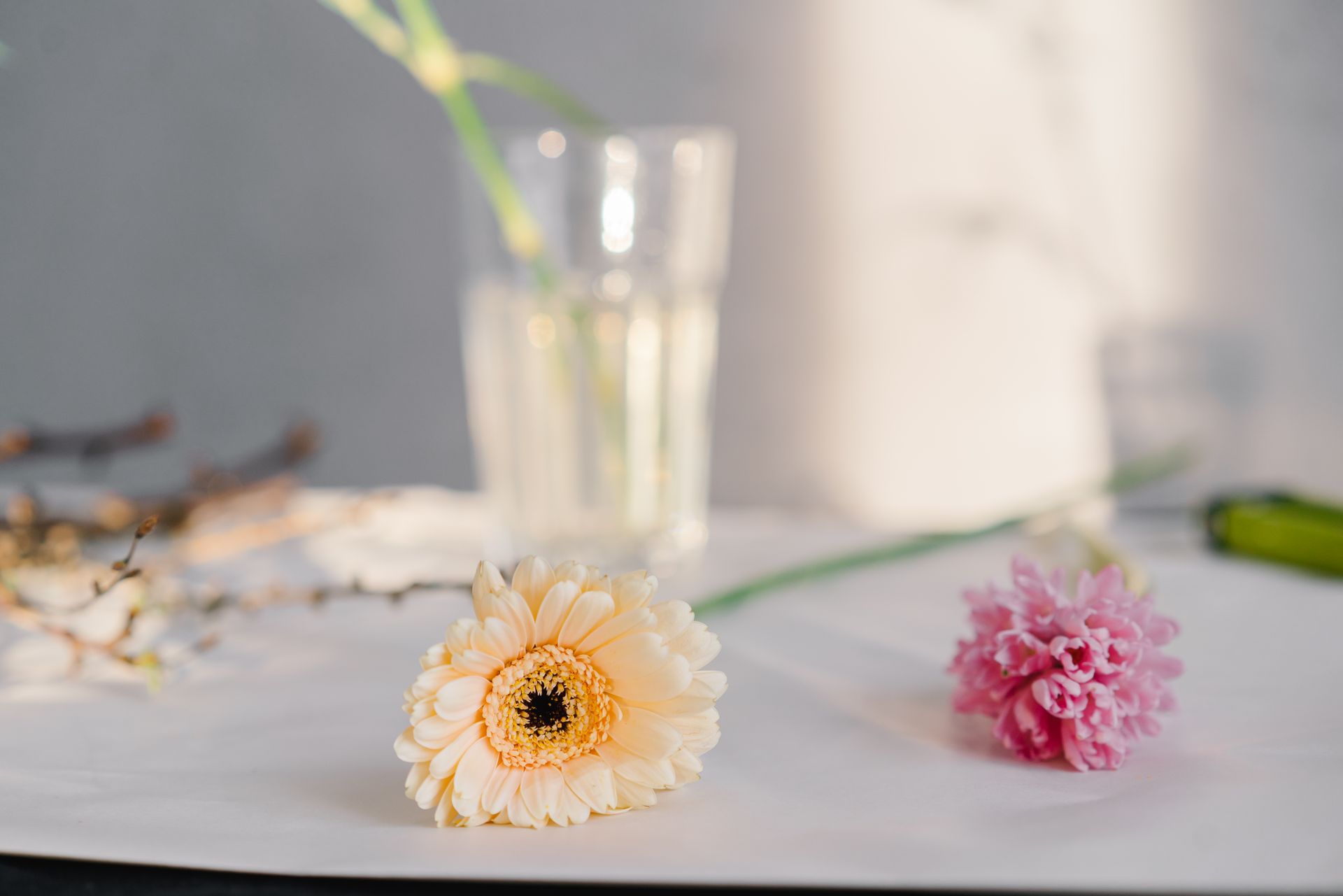 Delicate daisy and pink peony on a white table with soft focus background.