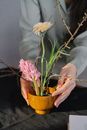 Plants and Flowers Planted in a Soup Bowl