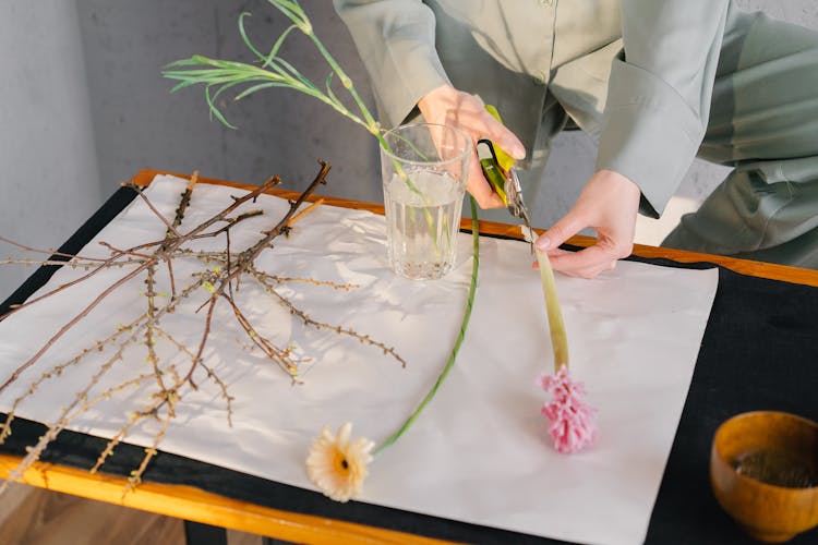 Person Cutting Flower Stem