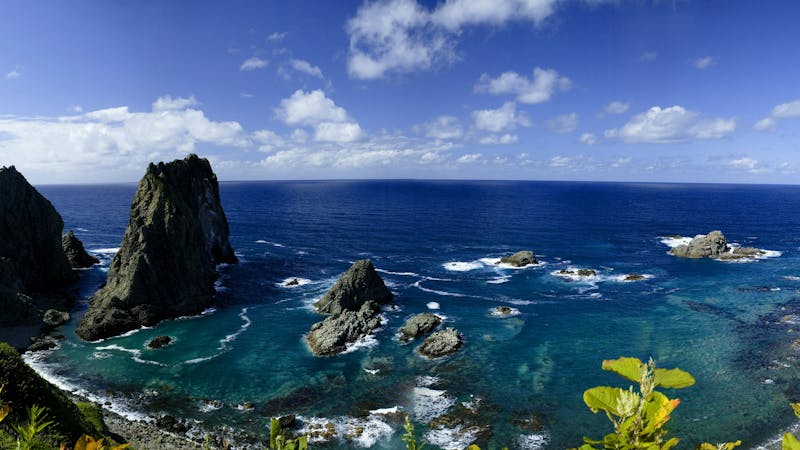 Redbubble shop preview