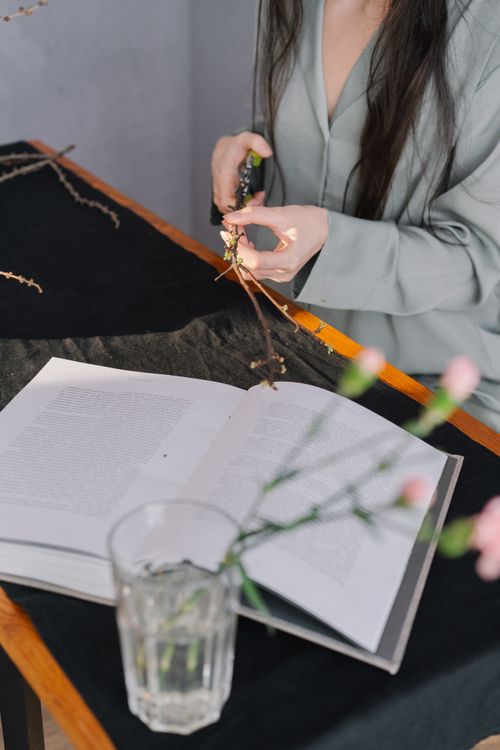 Free Indoor scene of a person arranging flowers beside an open book. Stock Photo