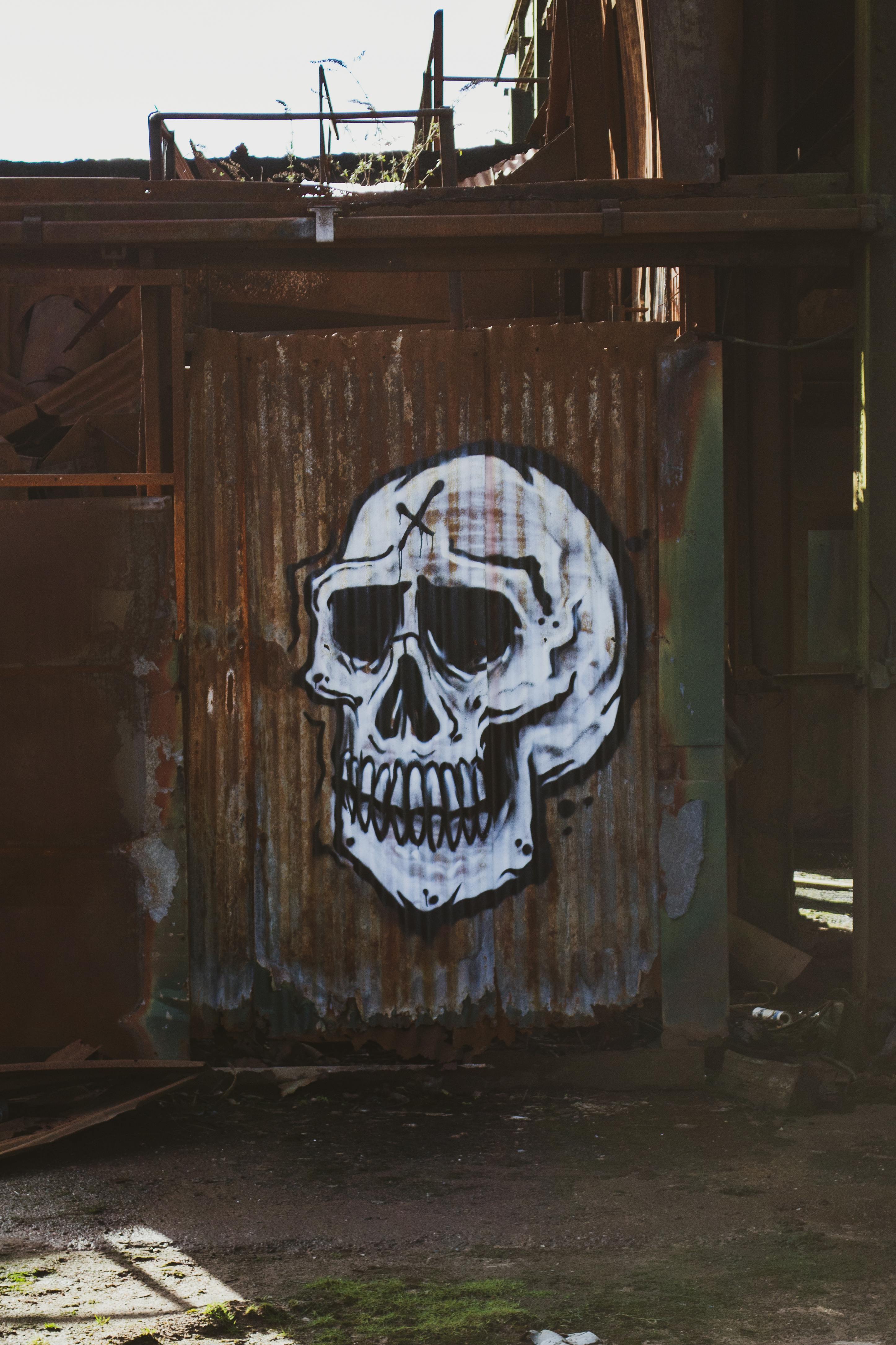 A Skull Spray Painted over Galvanize Sheet · Free Stock Photo