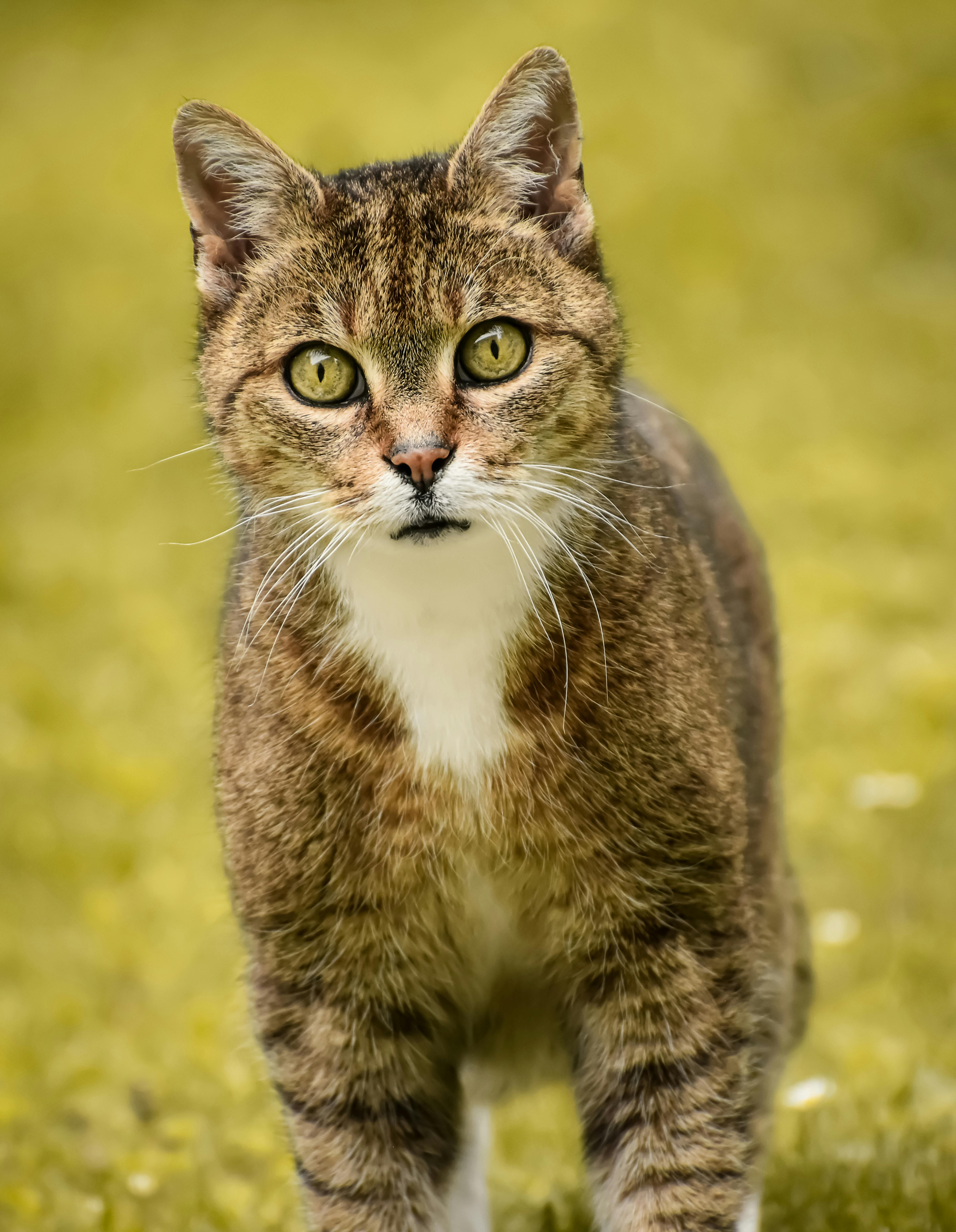 Outreach-System Mit Excel Planen: Entfessle Deine Effizienz! 3 Wie du deine Outreach-Kampagnen mit Excel automatisierst: Ein Leitfaden für Einsteiger