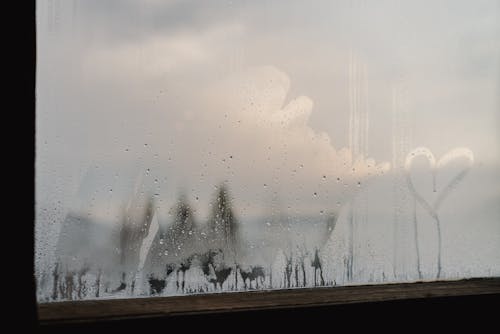 Moisture on Glass Panel