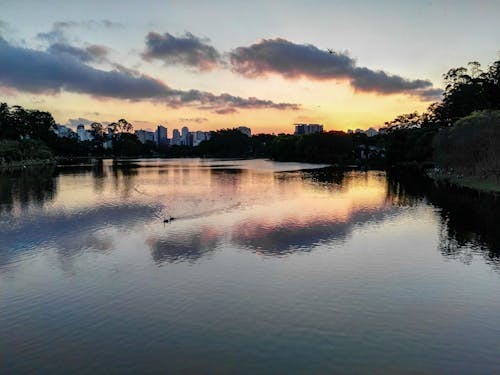 Free stock photo of brazil, city, city life