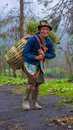 Content senior ethnic female in rubber boots carrying wicker basket full of grass while looking at camera on pathway