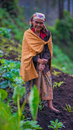 Elderly ethnic woman on land with plants in countryside
