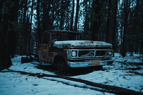 Brown Car Covered With Snow in the Woods