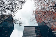 从低角度拍摄的现代摩天大楼、秋日的树木和多云的天空，共同营造出戏剧性的城市场景