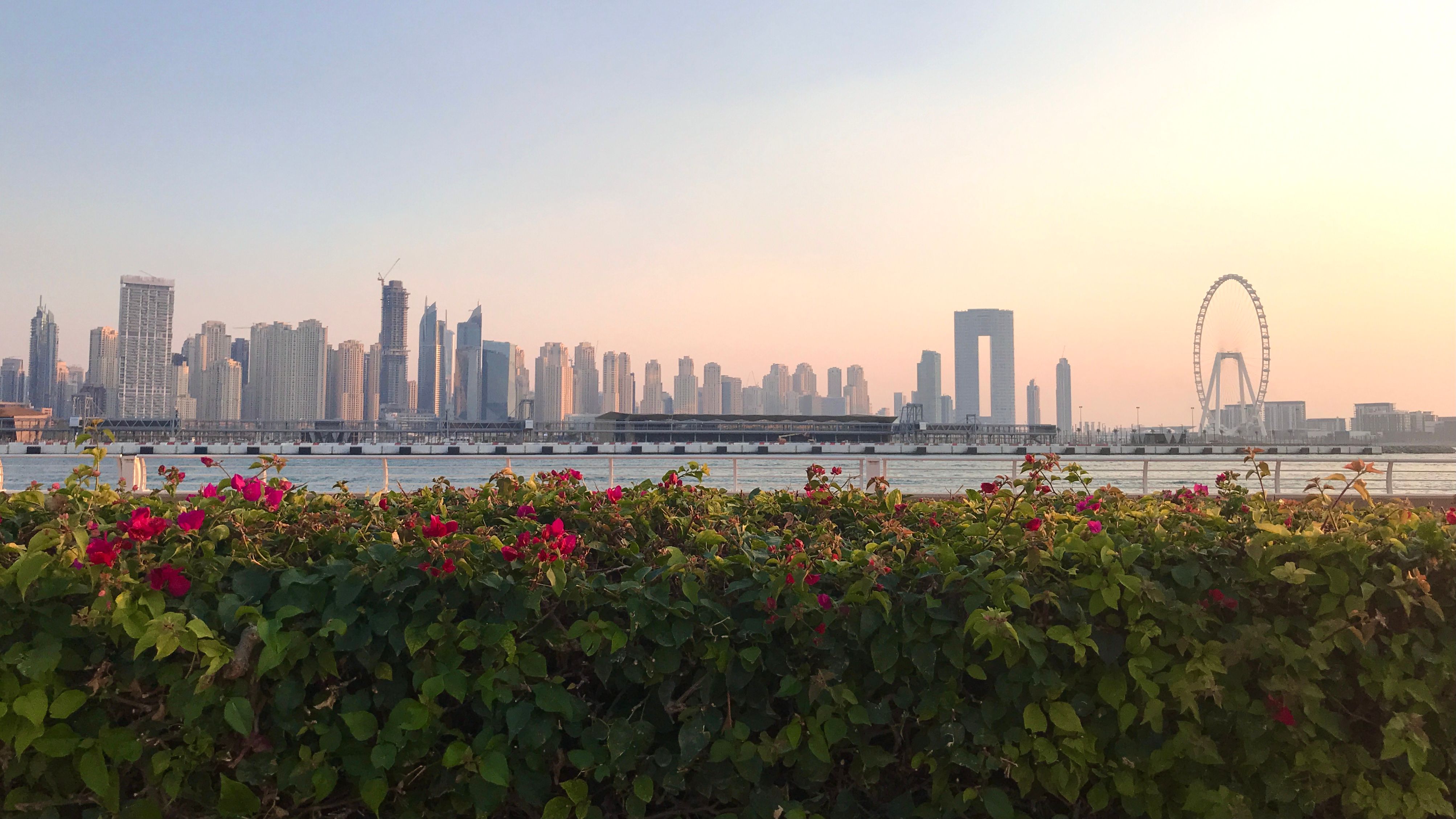 Life in Palm Jumeirah: Navigating Modern Romance — SponsorClub