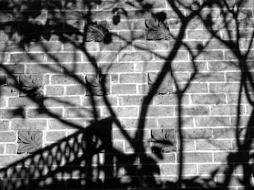De franc Foto d'estoc gratuïta de abstracte, arquitectura, blanc i negre Foto d'estoc