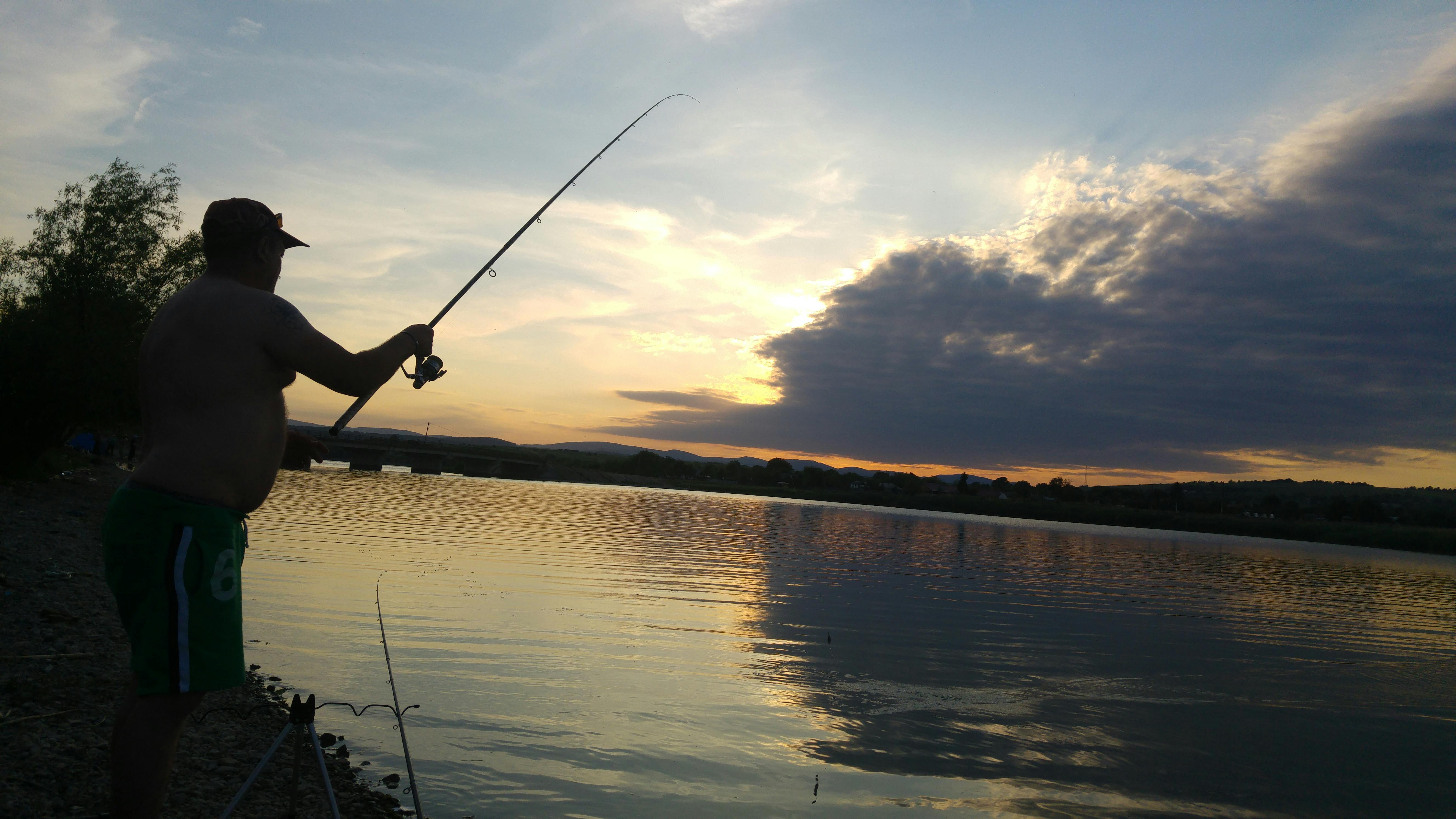 Free stock photo of cloud, clouds, fish
