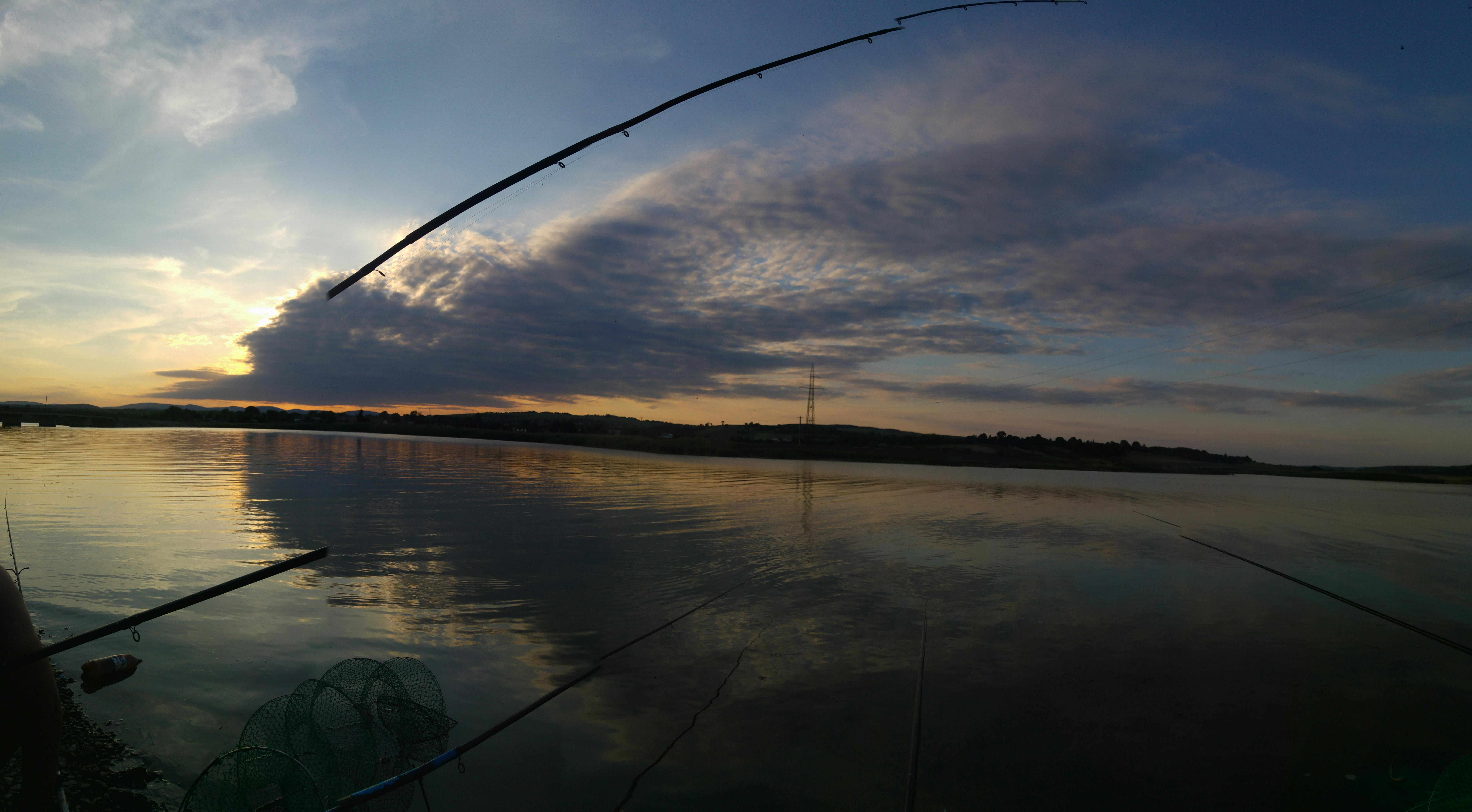 Free stock photo of cloud, fish, fishing
