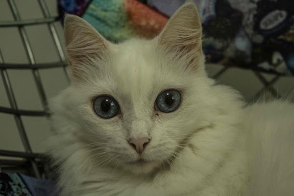 Imagen 3 de Título del Ministerio 5