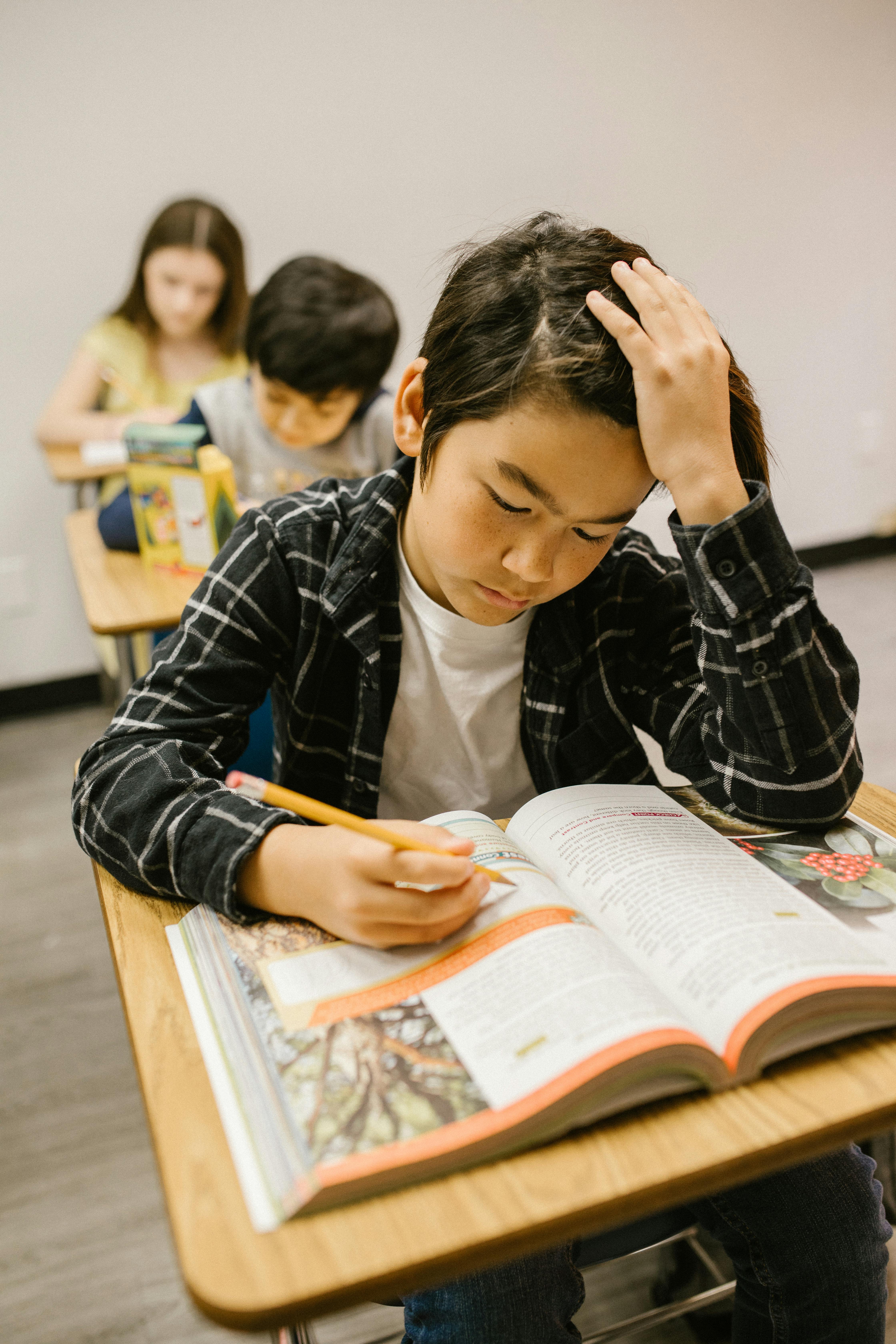 a boy busy studying