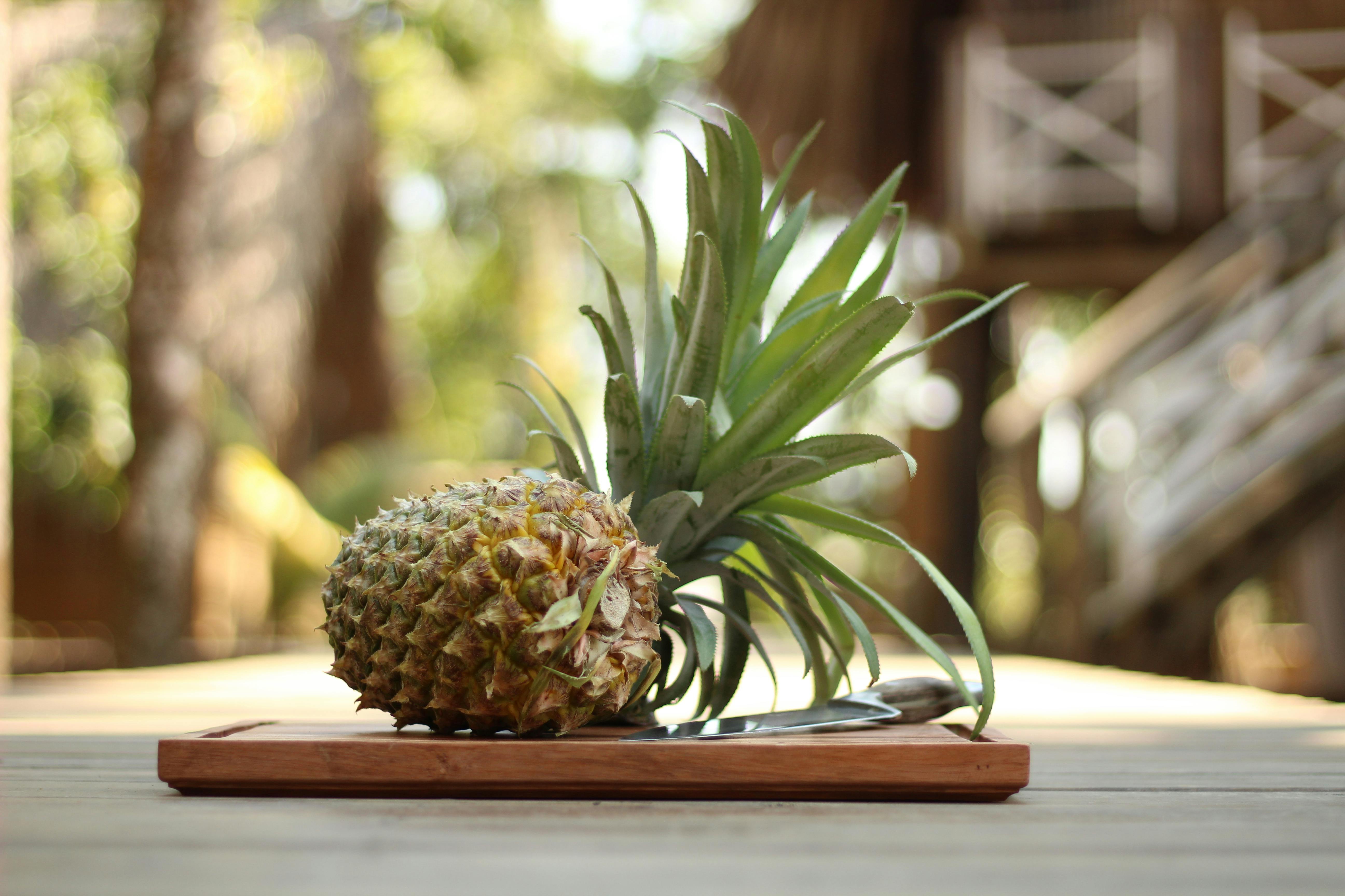 Why do we need knife in survival kit?