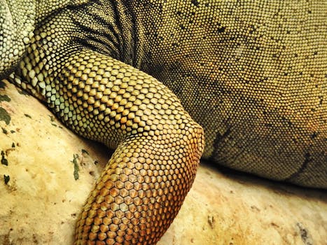 Detailed close-up of iguana scales showcasing texture and patterns.