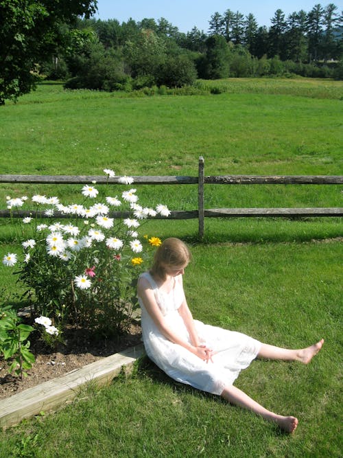 Gratis lagerfoto af bane, blomster, frihed