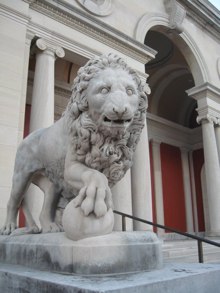 Close-Up Shot Of Medici Lion In Florence