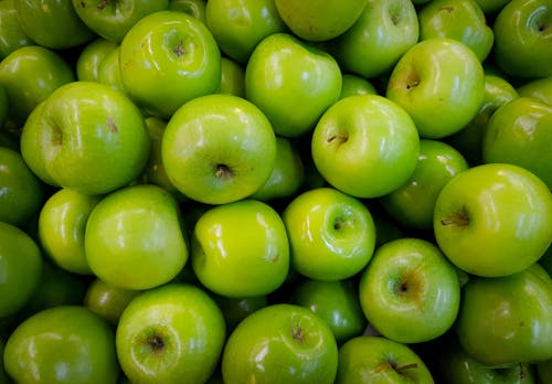 무료 녹색 사과 부지 스톡 사진