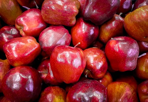 Free stock photo of red apple