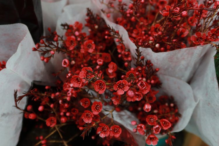 A Red Flower Bouquet