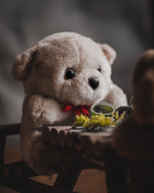 Close-up of a Teddy Bear Sitting on a Miniature Chair and Table 