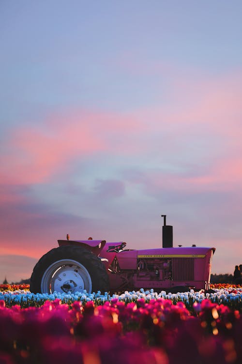 Bezpłatne Zdjęcie Traktora Jeżdżącego Podczas Zachodu Słońca Zdjęcie z galerii