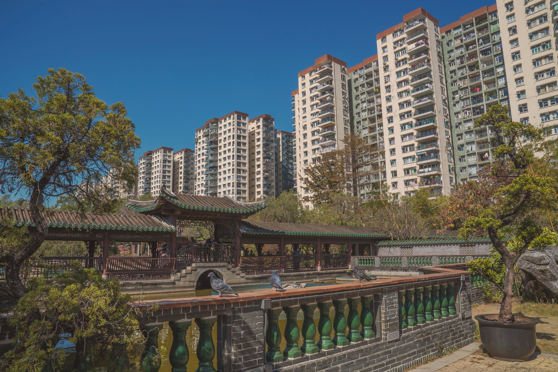 A serene Chinese garden contrasts with tall apartment buildings in a Hong Kong cityscape.