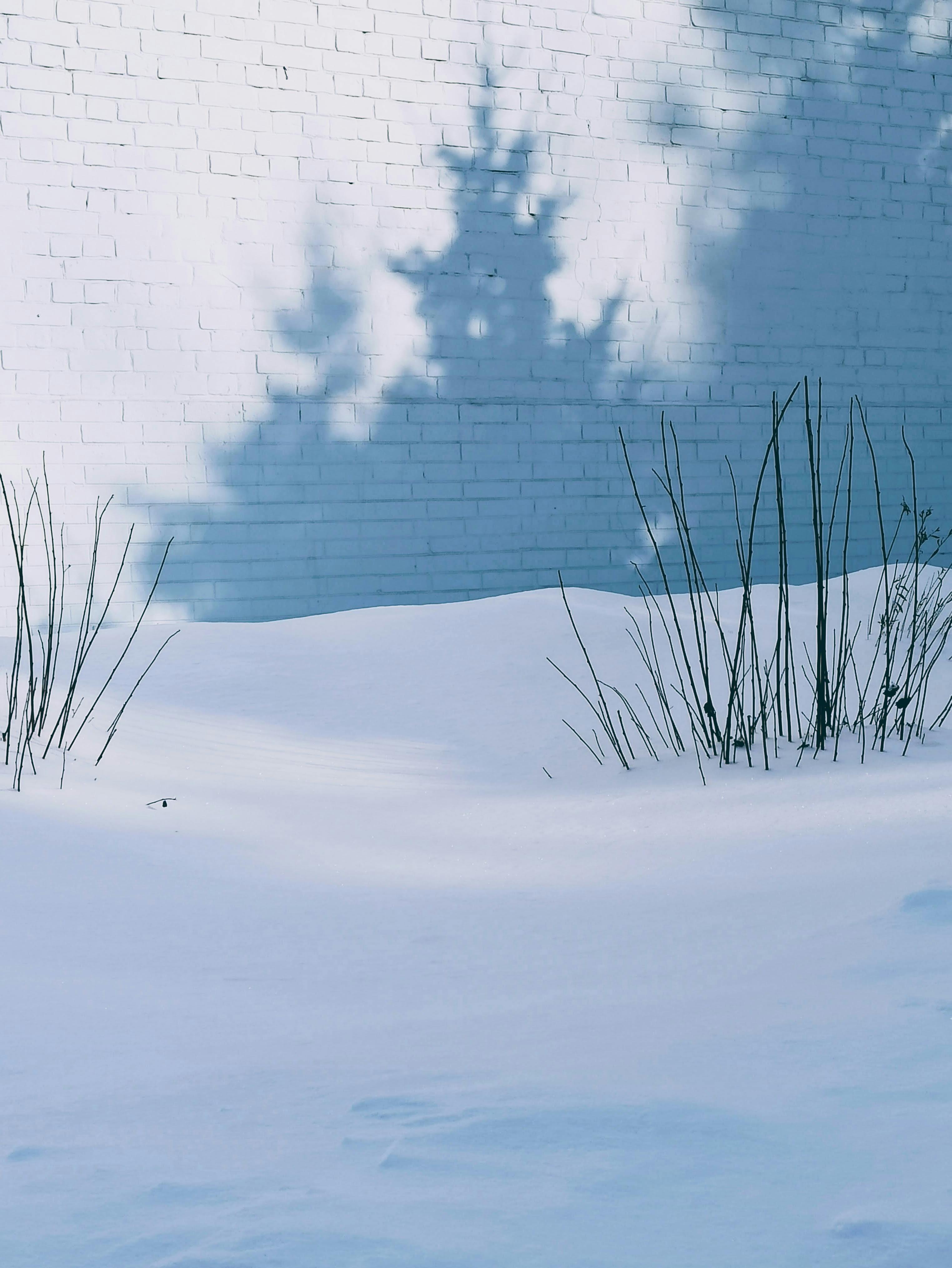 Captivating shadows on a snowy landscape with a white brick wall in Tomsk, Russia.