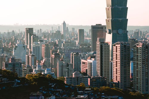 Free Contemporary city with multistory buildings and skyscrapers near trees under bright cloudless sky in daylight Stock Photo