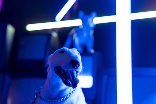 A bull terrier in a studio glowing with vibrant neon lights, creating a modern and artistic ambiance.