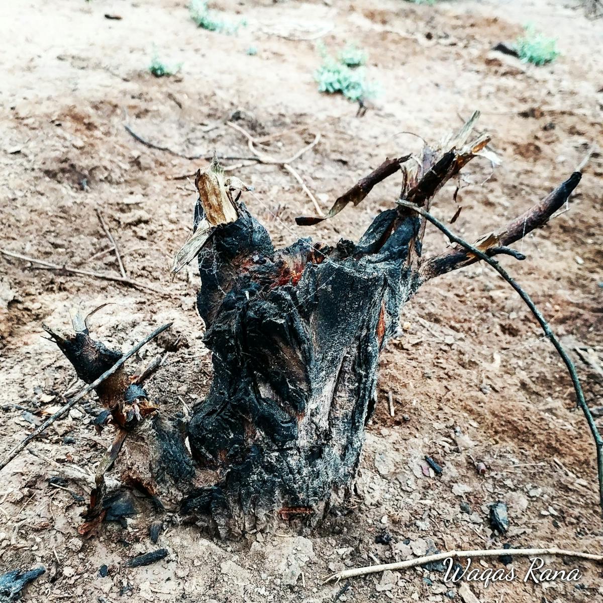 Overthinking mind psychology