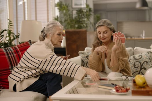 elderly companionship home