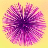 A burst of magenta wool fibres, photo by Sven dalby on Pexels