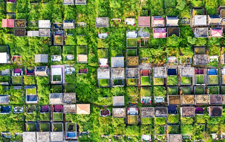 Small Houses Rooftops In Green Area