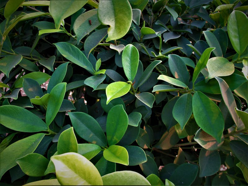 Checking blood sugar levels