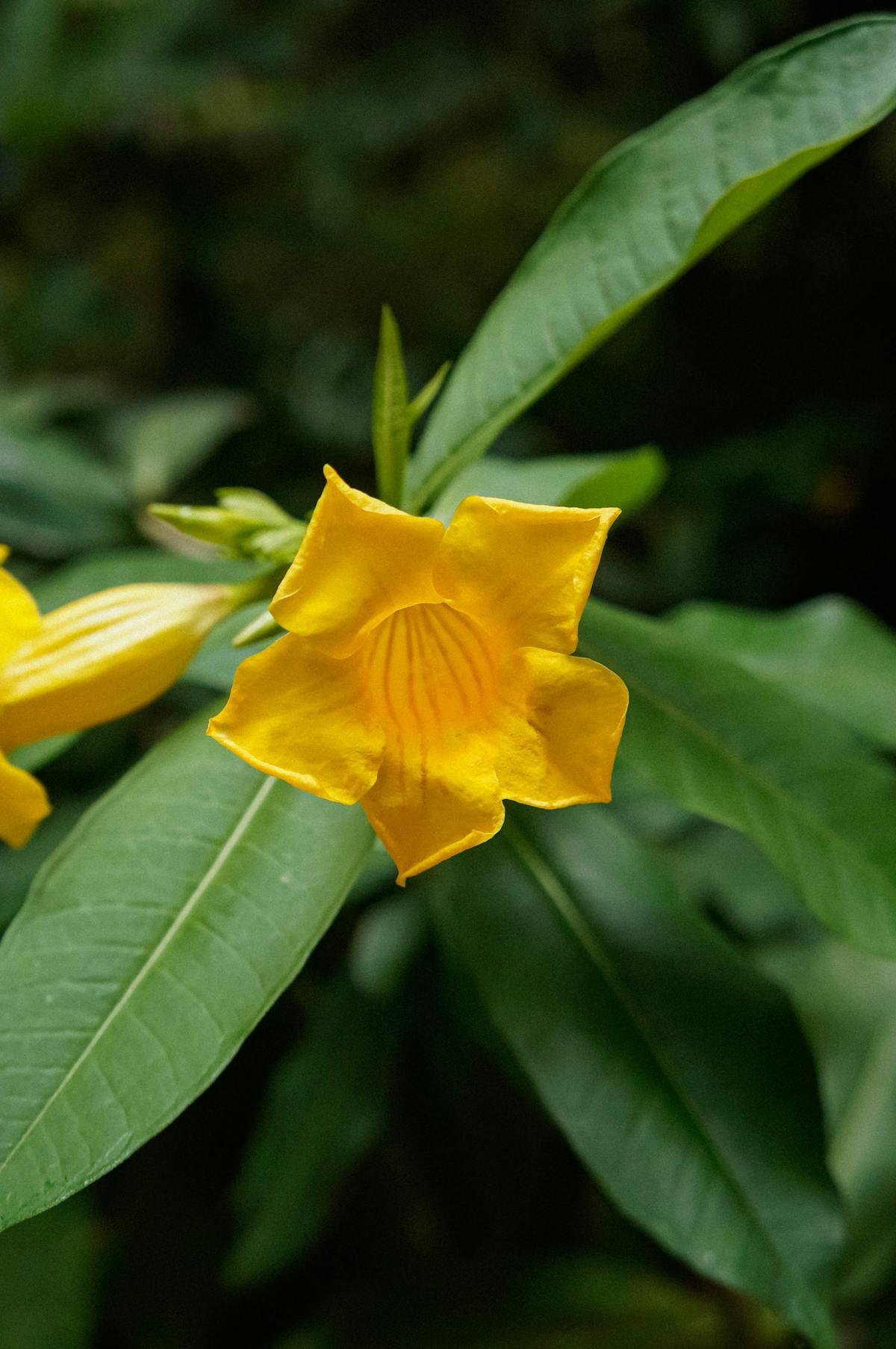 Doctor explaining lab results on a computer screen to a patient